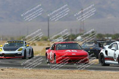media/Mar-29-2025-Pro Autosports (Sat) [[89b1c017ad]]/5-Blue-White Group/Qualifying Race/